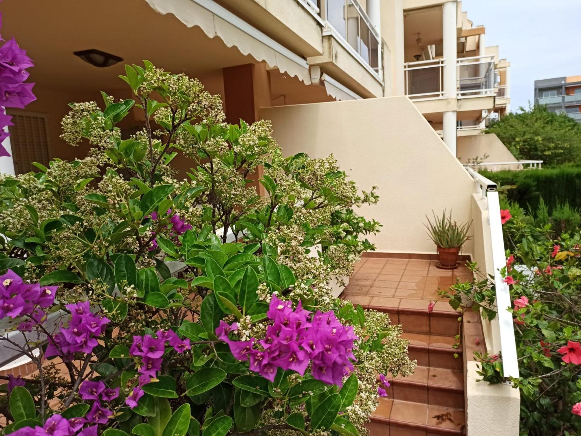 Agradable En Marinas * Denia